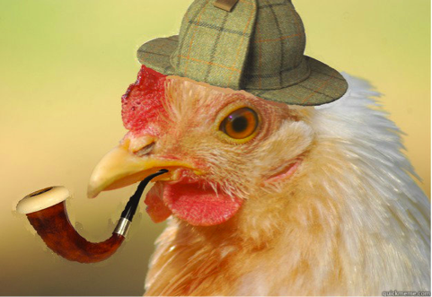chicken_sleuth.png